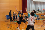 DSC00042_thumb.png