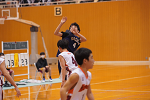 DSC00154_thumb.png