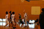 DSC00186_thumb.png